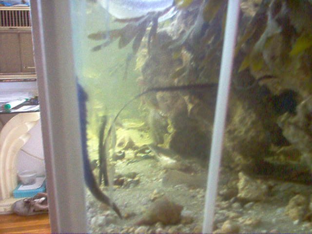 Picture 050.jpg