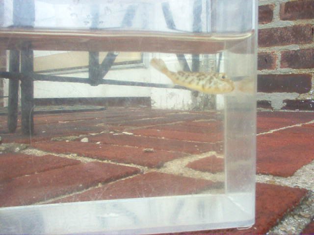 Picture 046.jpg