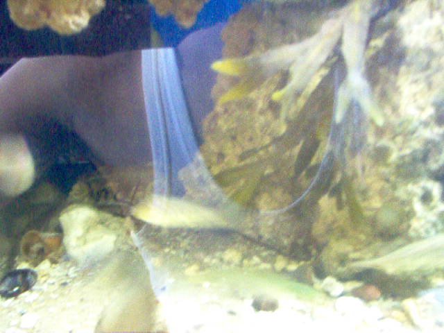 Picture 047.jpg