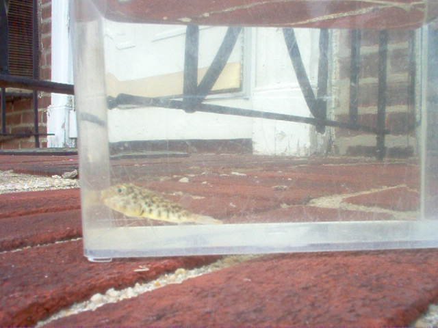 Picture 040.jpg