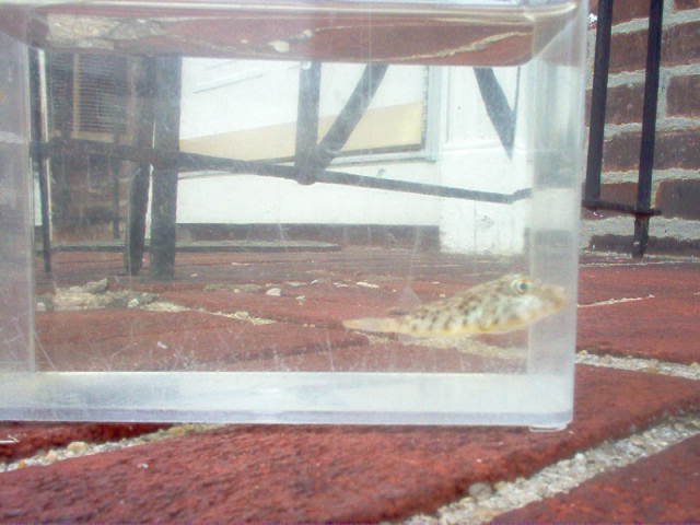 Picture 042.jpg