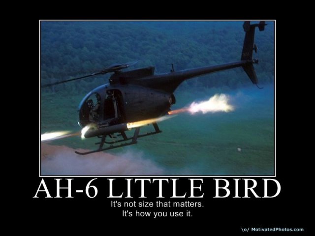 634090404779973350-AH6LittleBird.jpg