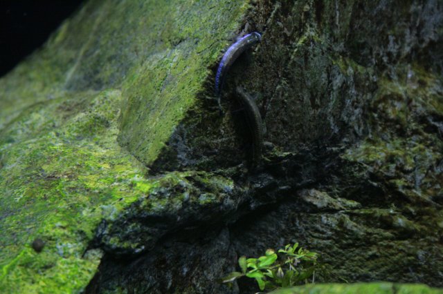 _MG_2883.JPG