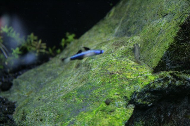 _MG_2884.JPG
