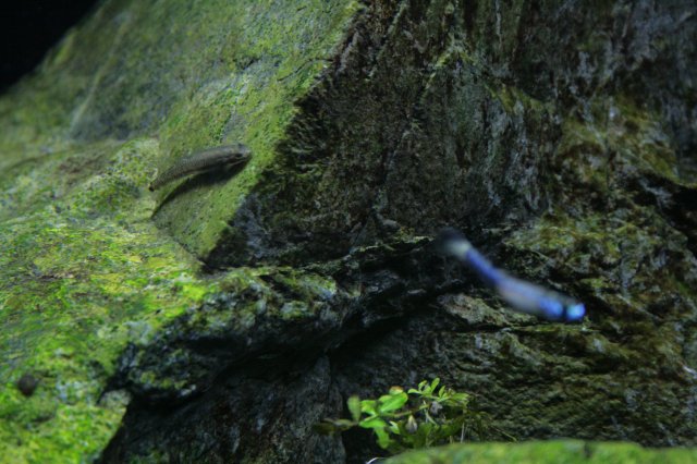 _MG_2885.JPG