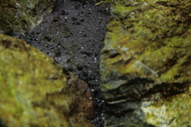 _MG_2886.JPG