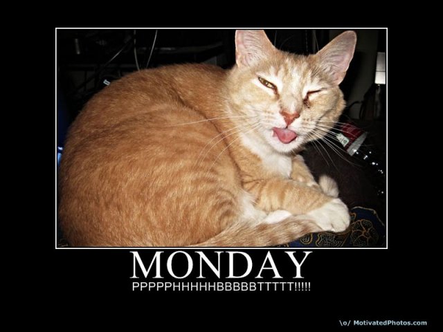 633704941257355010-Monday.jpg