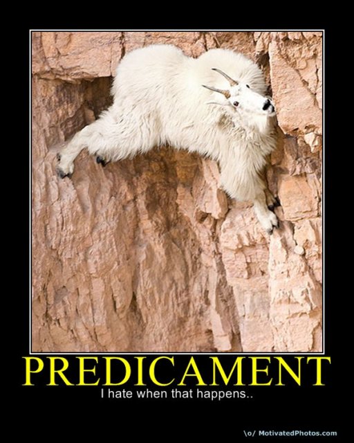633843969174695130-predicament.jpg