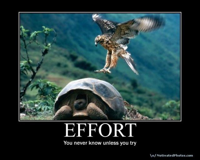 633875791586957630-Effort.jpg