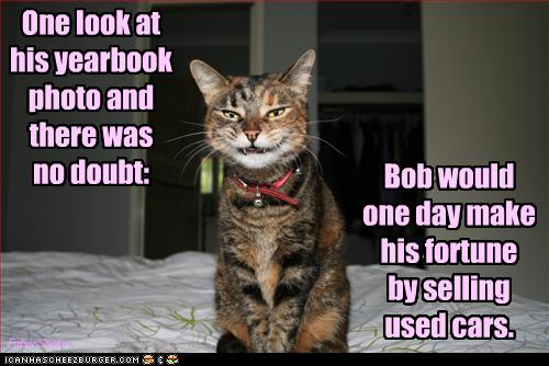 funny-pictures-cat-will-sell-cars.jpg
