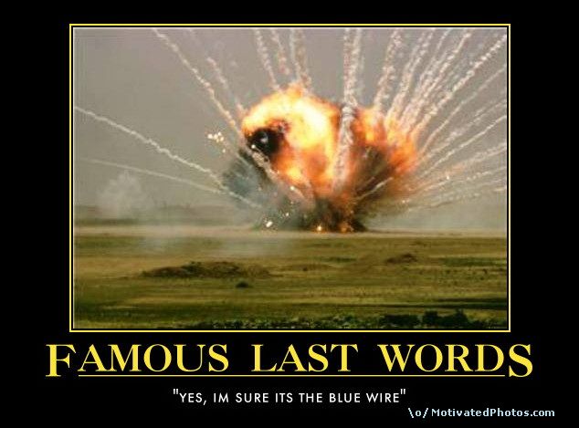 633926593124207880-FamousLastWordsyesimsureitsthebluewire.jpg