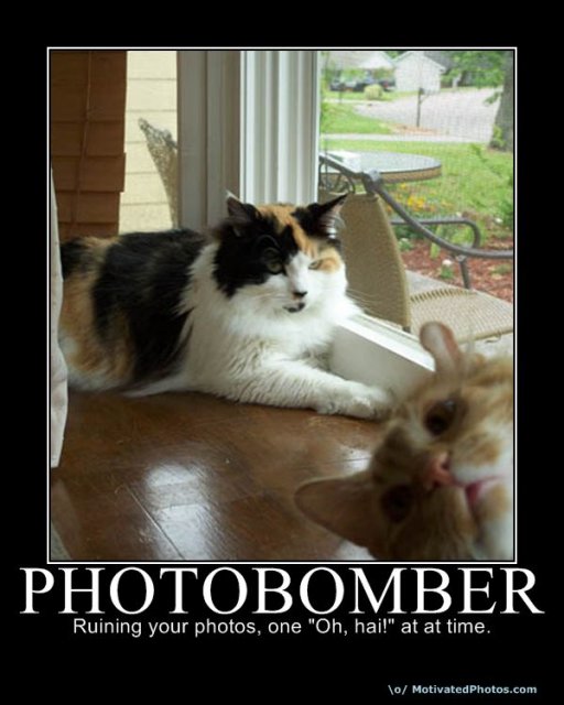 633748899354853260-Photobomber.jpg