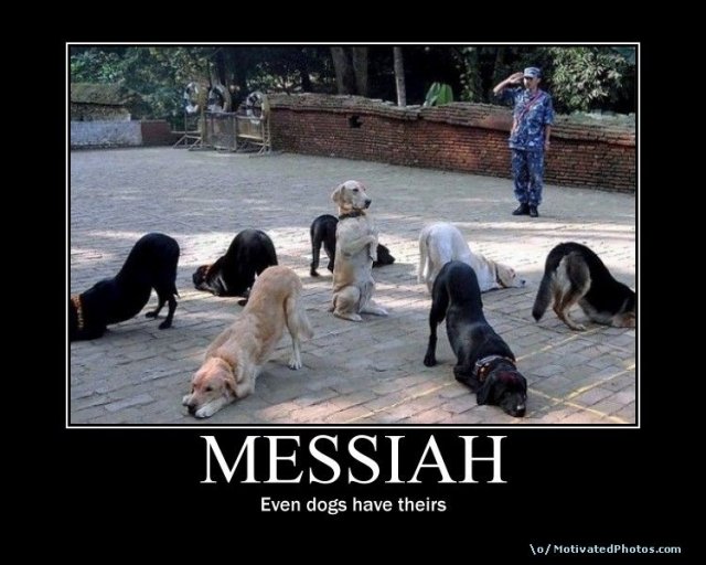633861922044619265-MessiahDogshavetheirs.jpg