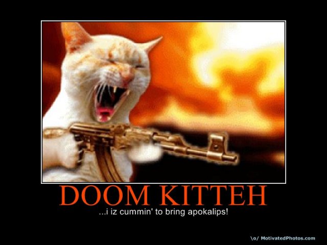 633924904573243575-DOOMKITTEH.jpg