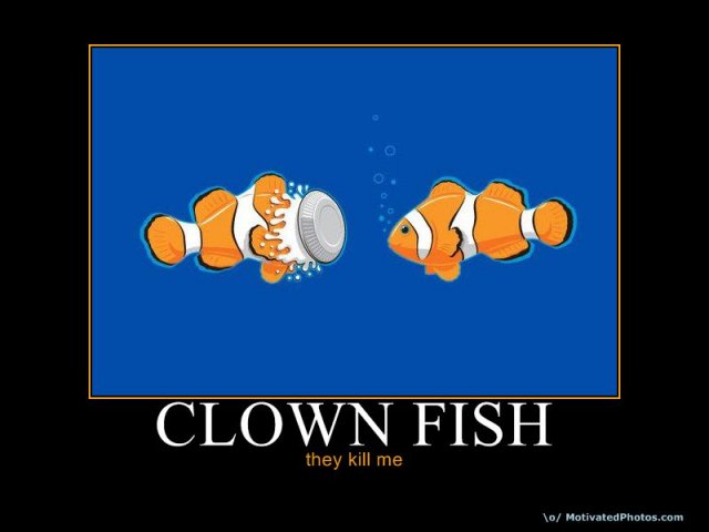 634063281466650595-ClownFish.jpg