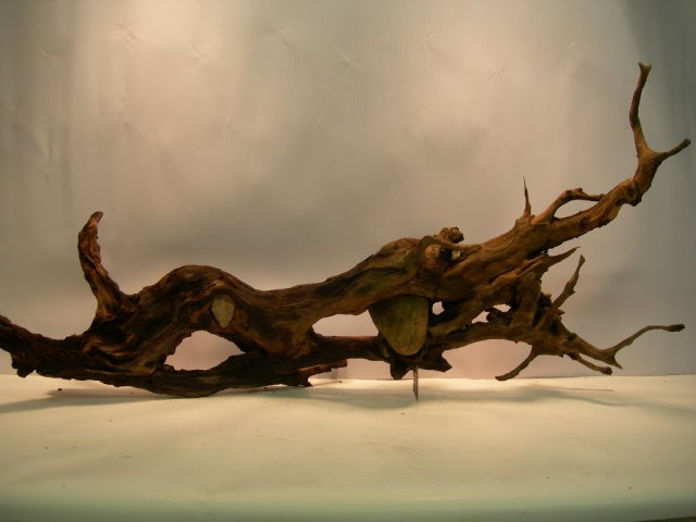 mon172 002.JPG
