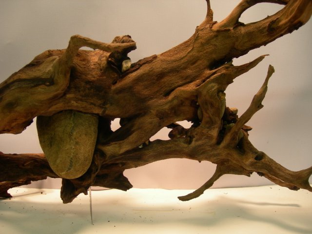 mon172 003.JPG