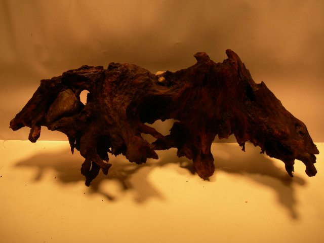 nano trees 003.JPG nano trees 003.JPG