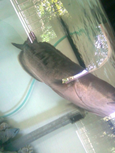 Image0139.jpg Image0139.jpg