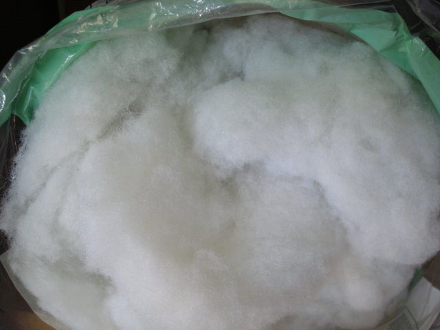 DSC00912.JPG