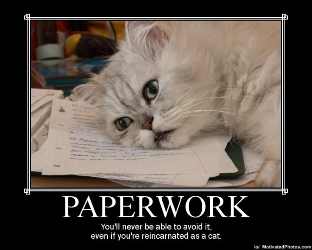 633561002805744356-PaperworkYoullneverbeabletoavoiditevenifyourereincarnatedasalolcat.jpg