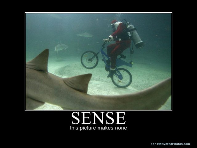 633673131705286538-Sense.jpg