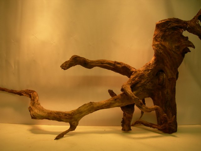 may25 005.JPG