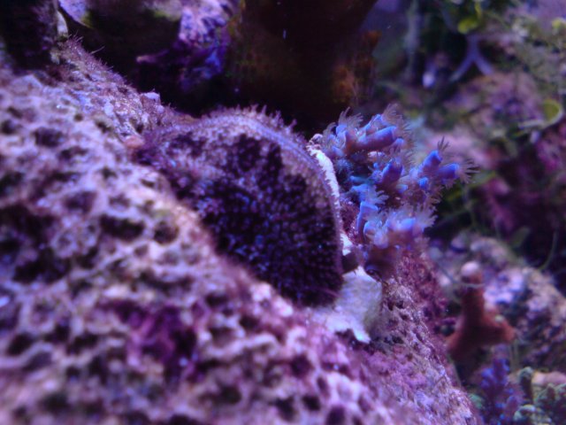DSC02833.JPG