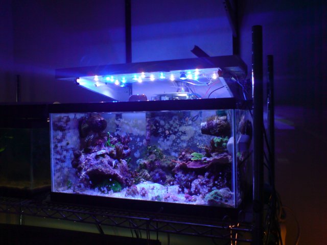 DSC02840.JPG