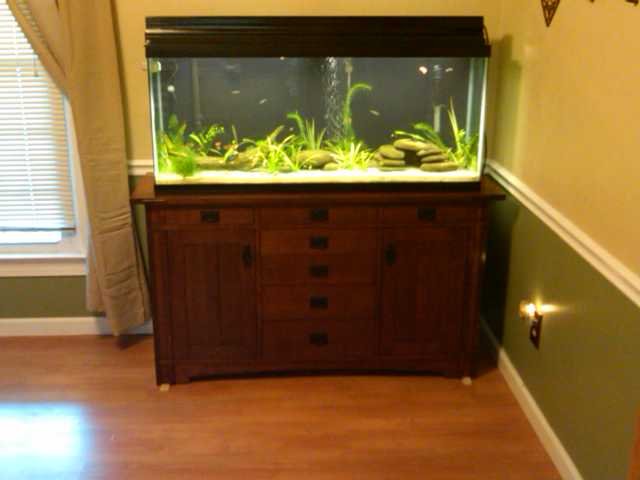 IMG00022-20100527-1728.jpg IMG00022-20100527-1728.jpg