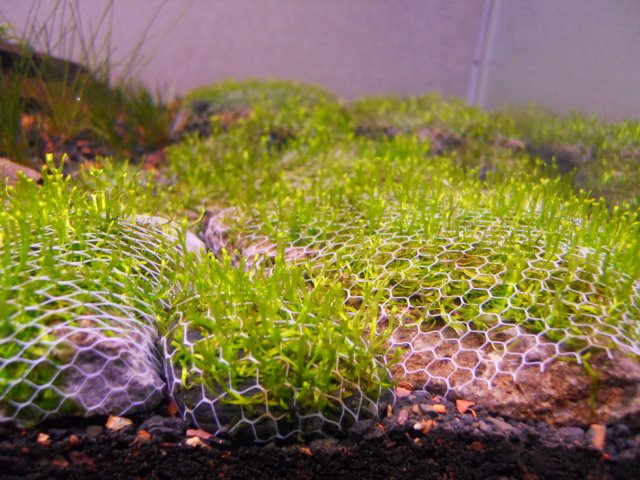 DSCN0352.JPG