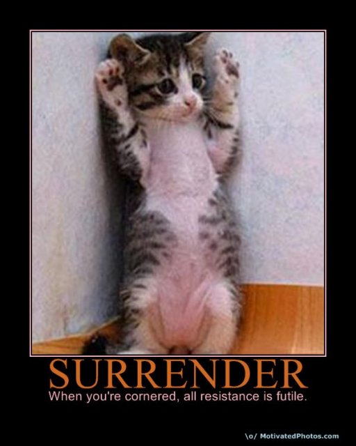 633891175682938005-SURRENDER.jpg