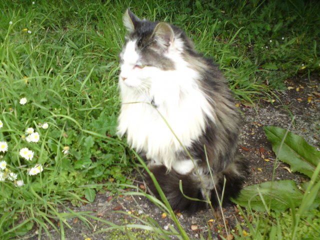 DSC00031.JPG