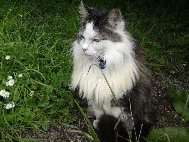 DSC00032.JPG