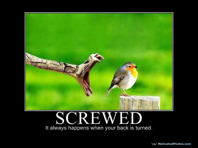 633631558096100624-SCREWED.jpg