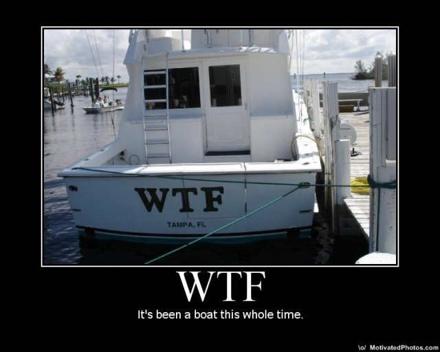 633639656997955680-WTF.jpg