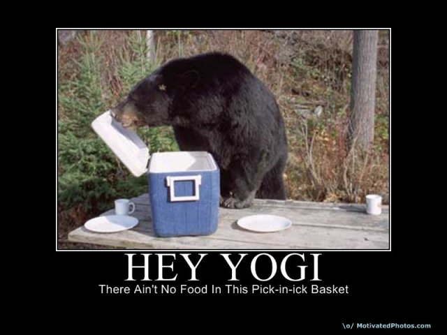633778773252667230-HEYYOGI.jpg