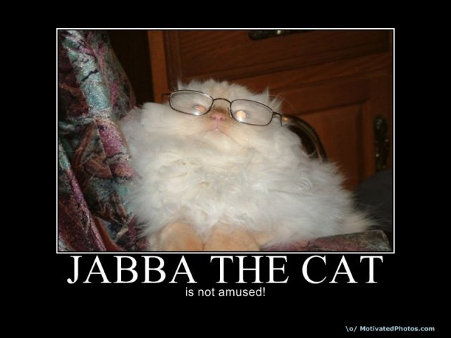 634069220176899545-jabbathecat.jpg