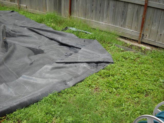 DSCN0137.JPG DSCN0137.JPG