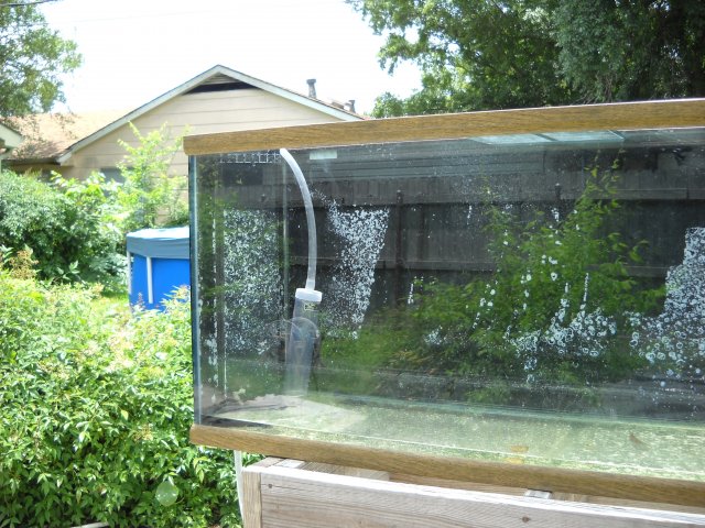 DSCN0139.JPG DSCN0139.JPG
