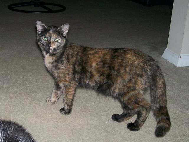 100_3890.jpg