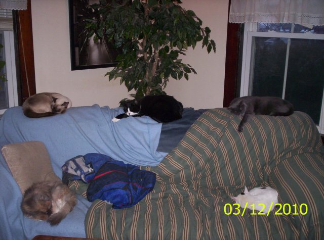 100_0300.JPG