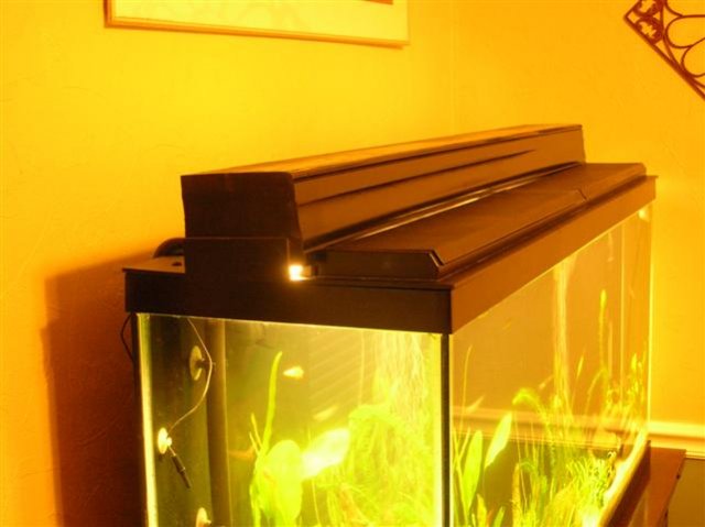 diy acrylic aquarium