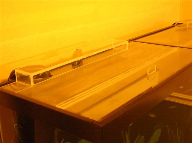 10inplace2 (Small).JPG 10inplace2 (Small).JPG