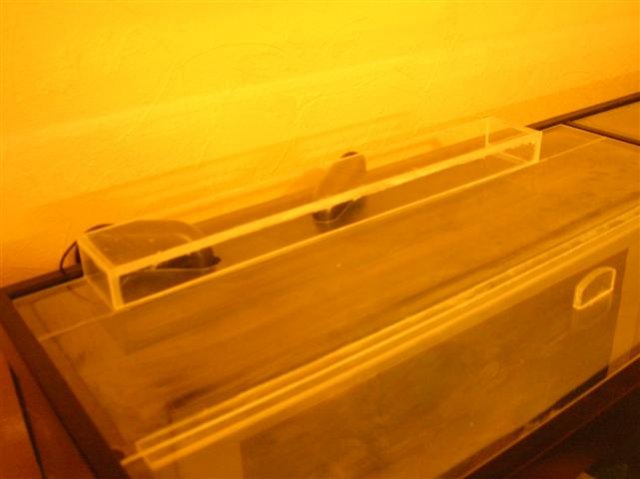 11lftclose (Small).JPG 11lftclose (Small).JPG