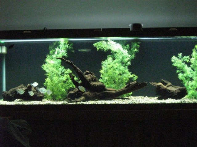 IMG_0724.JPG