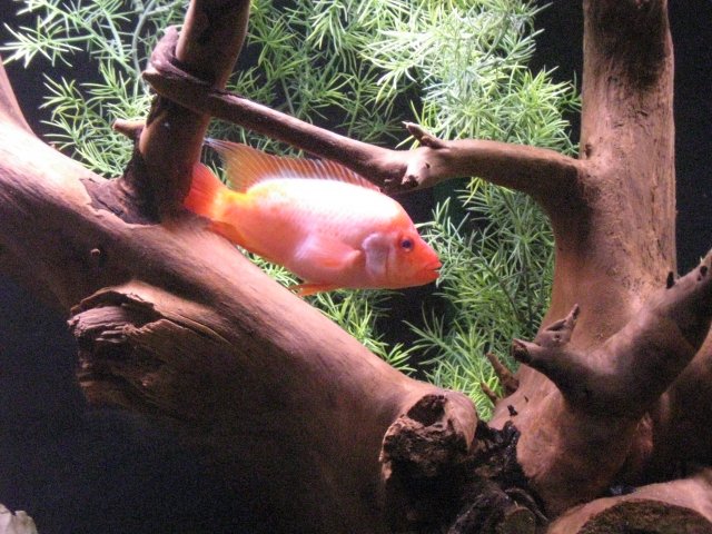 IMG_0714.JPG