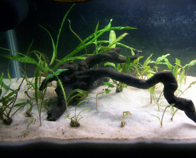 tank_0608_2.jpg tank_0608_2.jpg