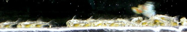 DSCN5859.JPG