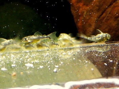 DSCN5864.JPG